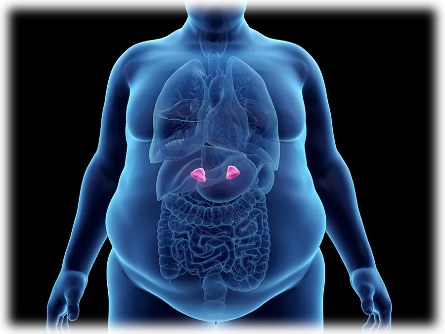 Adrenal Fatigue