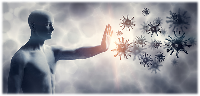 Healthy and powerful immune system